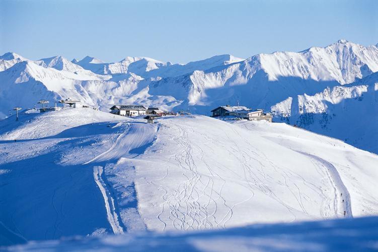 Appartamento Almstube Fritz Wald im Pinzgau Esterno foto