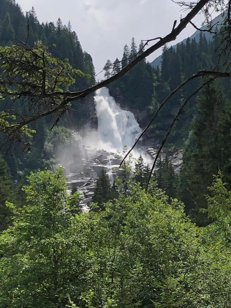 Appartamento Almstube Fritz Wald im Pinzgau Esterno foto